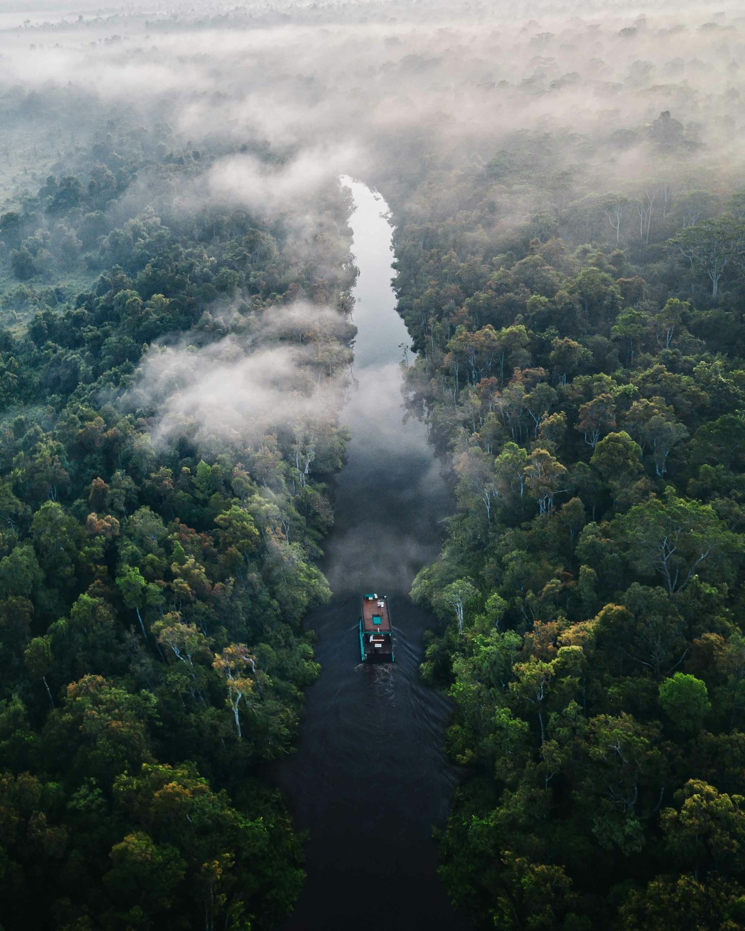 Sustainable Practices for Amazon Biodiversity Protection