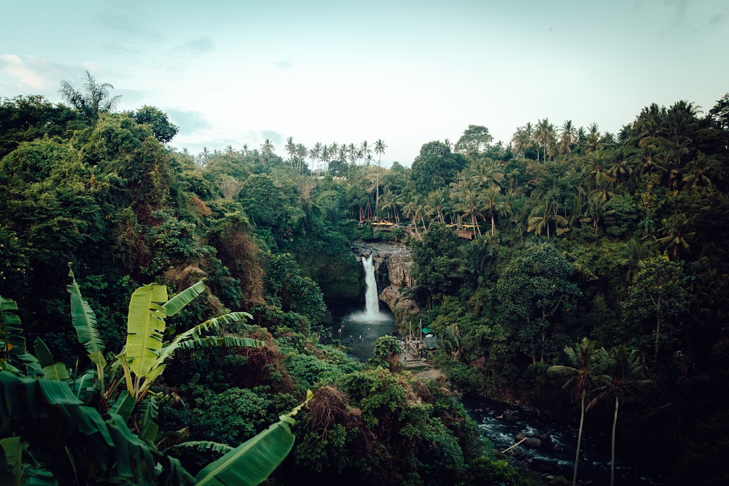 Partnerships That Drive Amazon Conservation Success